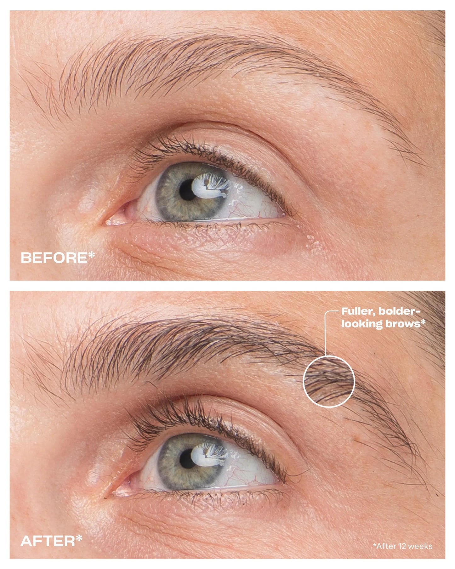 Amplifying Brow Serum